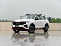Kia Sportage (China) III (NP) Facelift SUV 5 doors