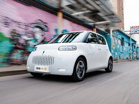 Ora White Cat Hatchback 5 doors